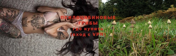синтетический гашиш Алексеевка