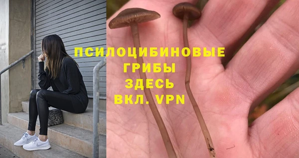 синтетический гашиш Алексеевка