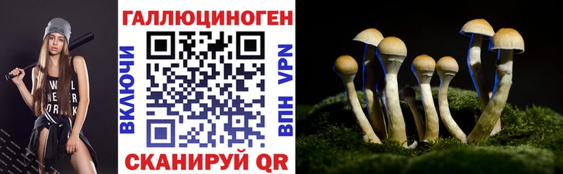 Галлюциногенные грибы Psilocybe  Лебедянь 